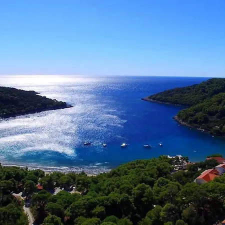 شقة Matu Ko Mljet - Two-bedroom With Terrace And Sea View سابلونارا